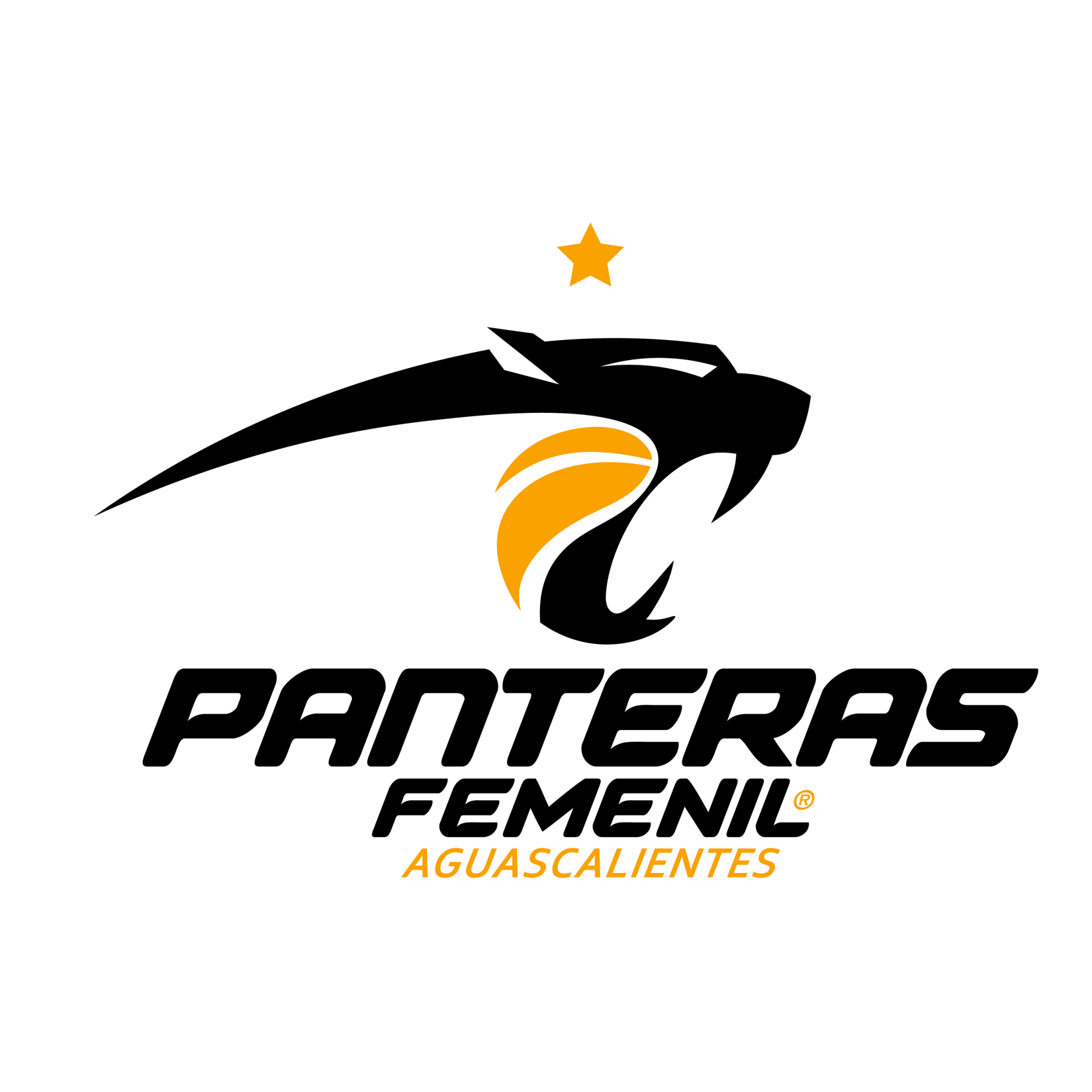Panteras de Aguascalientes Women